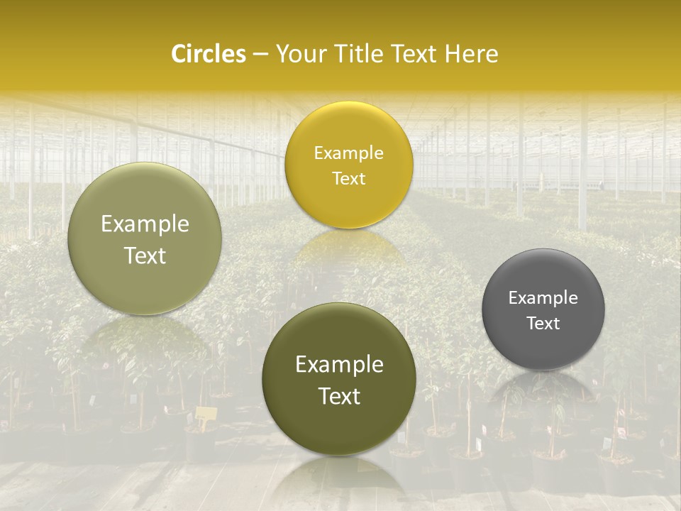 Pot Greenhouse Sepals PowerPoint Template