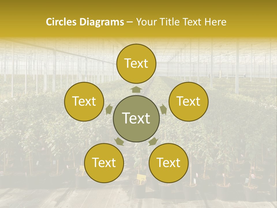 Pot Greenhouse Sepals PowerPoint Template