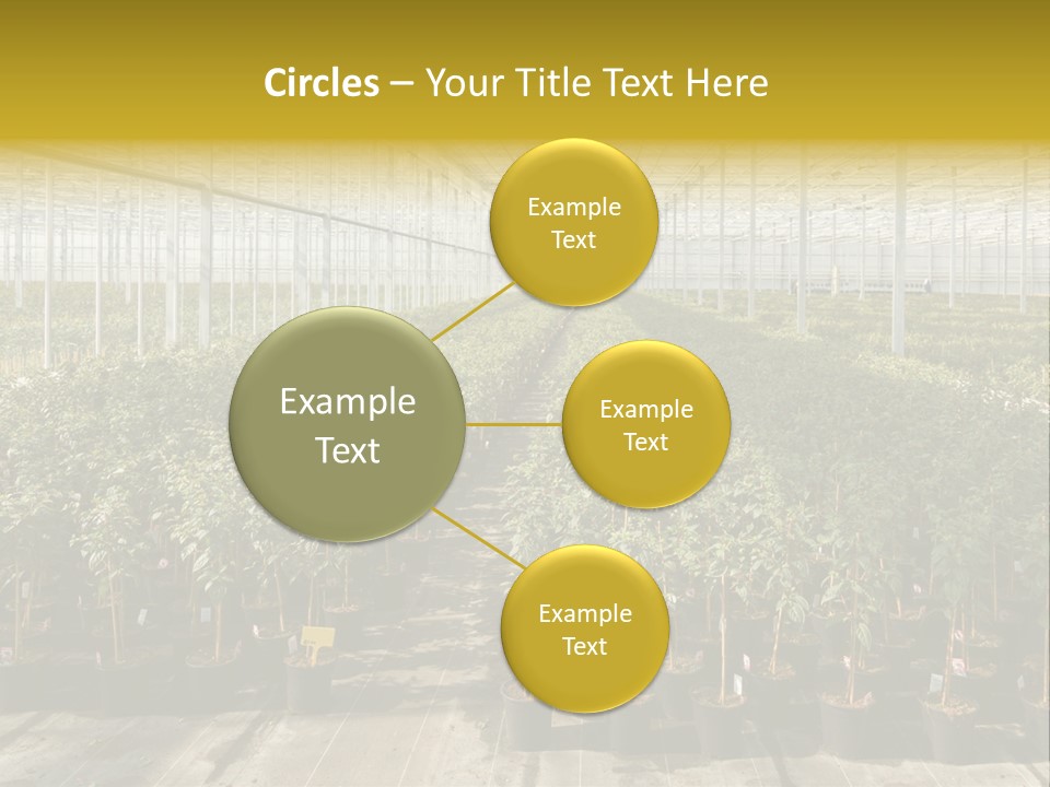Pot Greenhouse Sepals PowerPoint Template