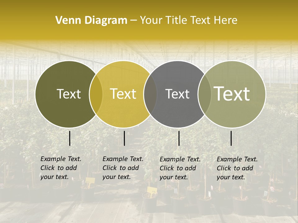 Pot Greenhouse Sepals PowerPoint Template