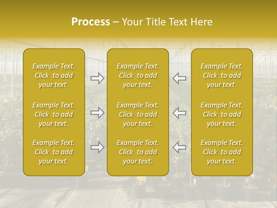 Pot Greenhouse Sepals PowerPoint Template