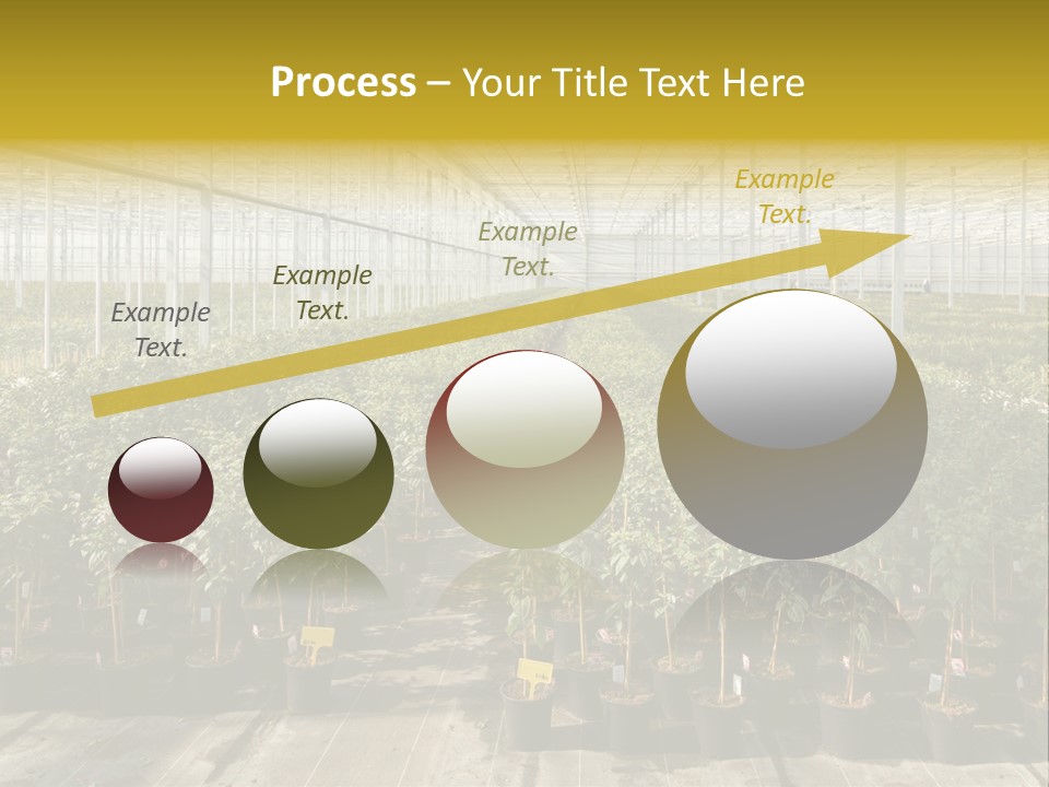Pot Greenhouse Sepals PowerPoint Template
