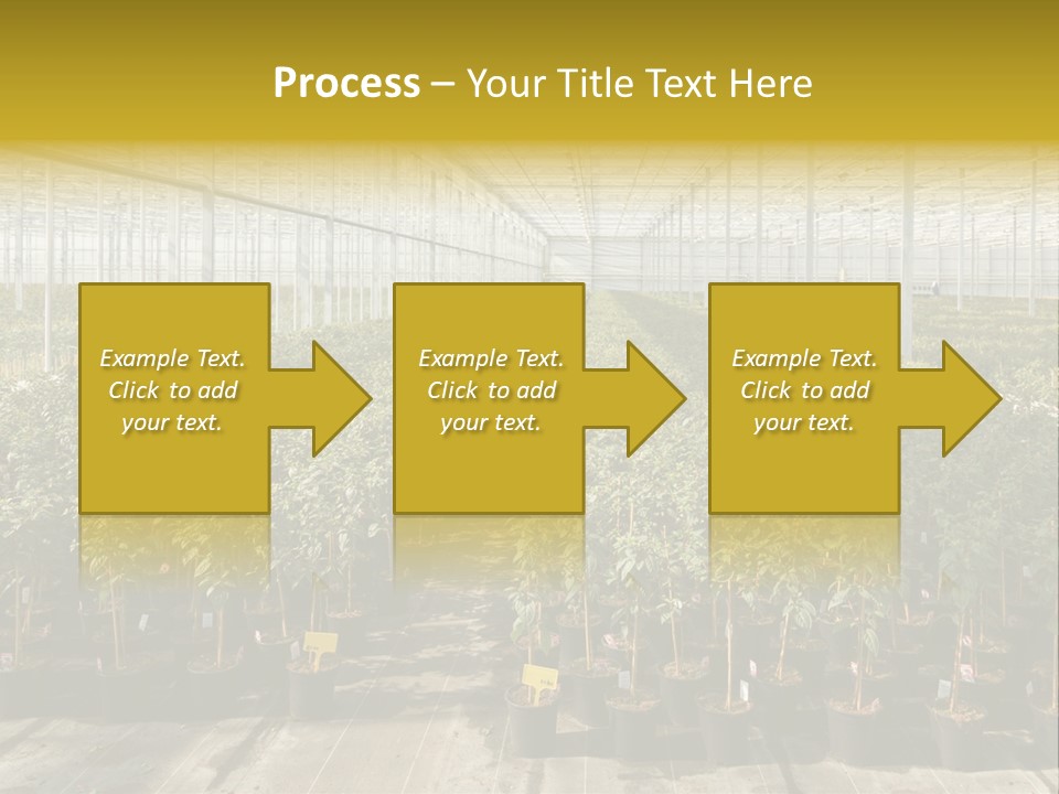 Pot Greenhouse Sepals PowerPoint Template
