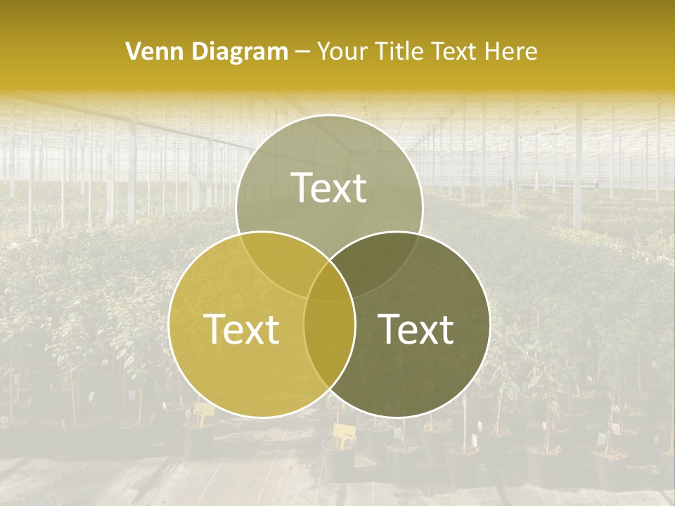 Pot Greenhouse Sepals PowerPoint Template