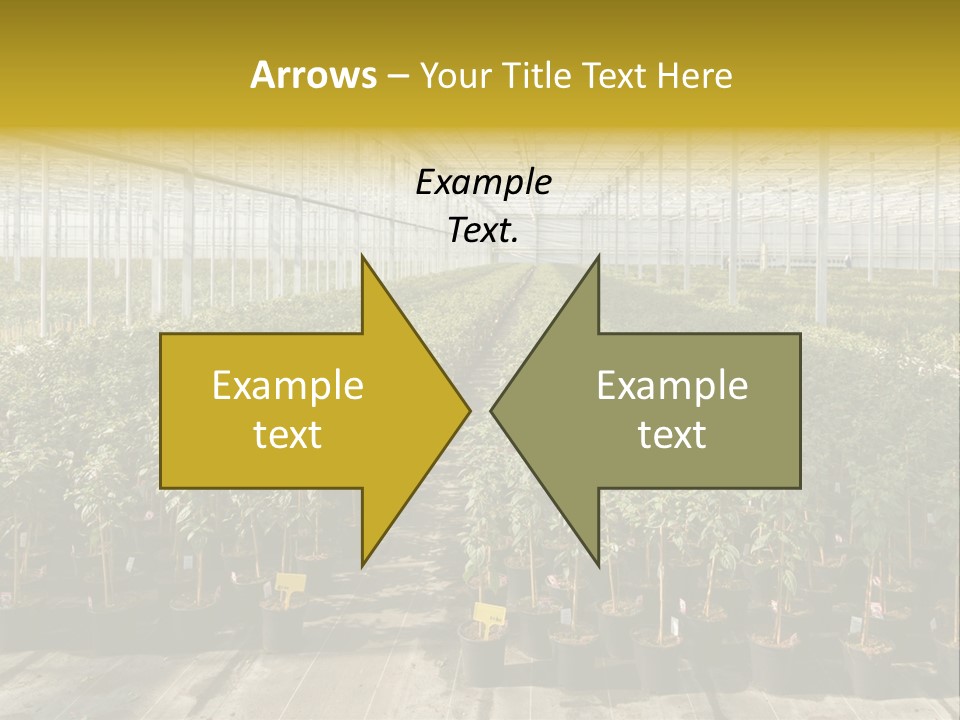 Pot Greenhouse Sepals PowerPoint Template