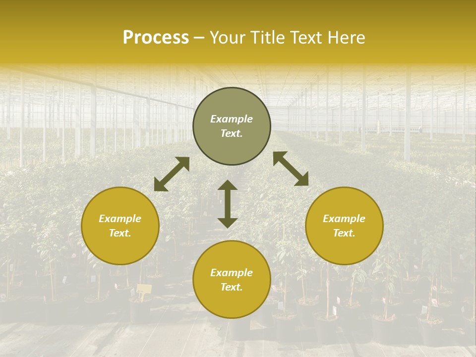 Pot Greenhouse Sepals PowerPoint Template