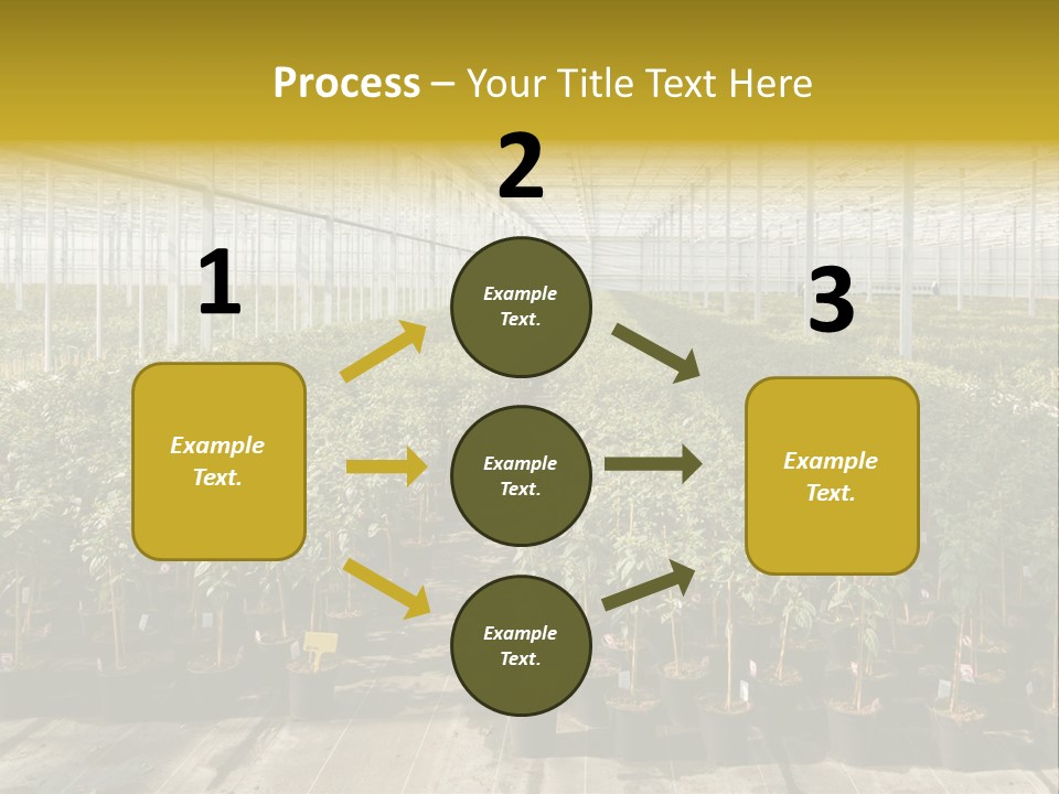 Pot Greenhouse Sepals PowerPoint Template