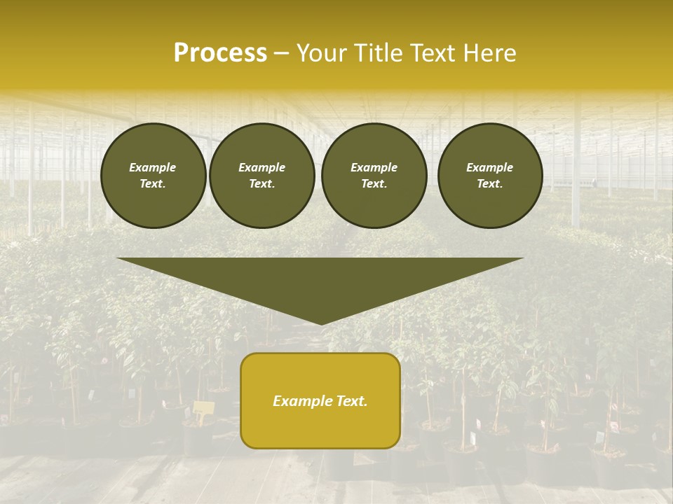 Pot Greenhouse Sepals PowerPoint Template