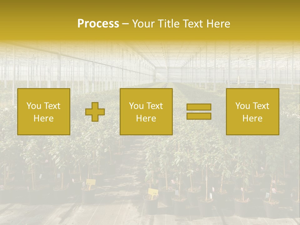 Pot Greenhouse Sepals PowerPoint Template