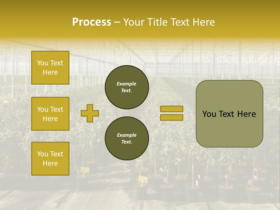 Pot Greenhouse Sepals PowerPoint Template