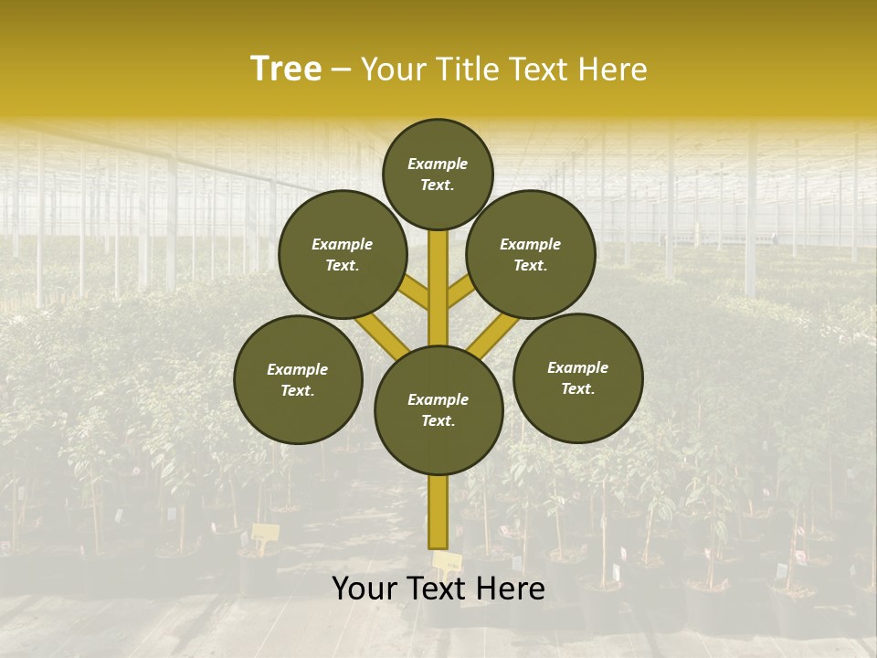 Pot Greenhouse Sepals PowerPoint Template