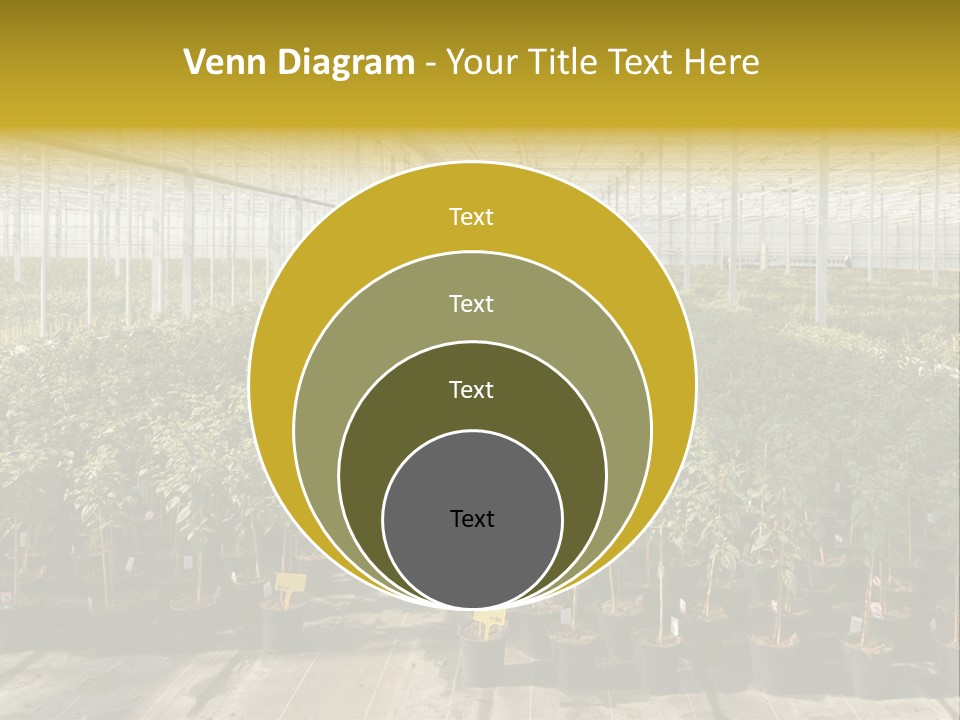 Pot Greenhouse Sepals PowerPoint Template