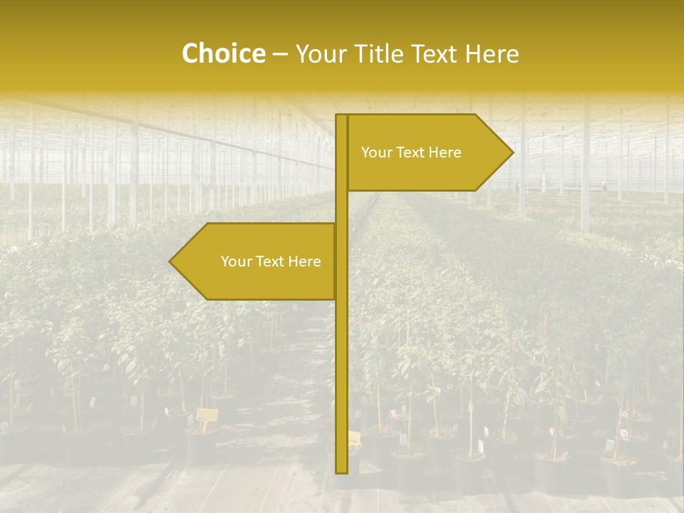 Pot Greenhouse Sepals PowerPoint Template