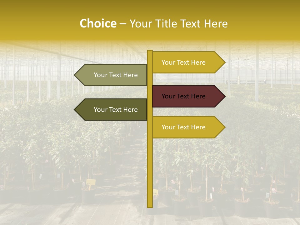 Pot Greenhouse Sepals PowerPoint Template