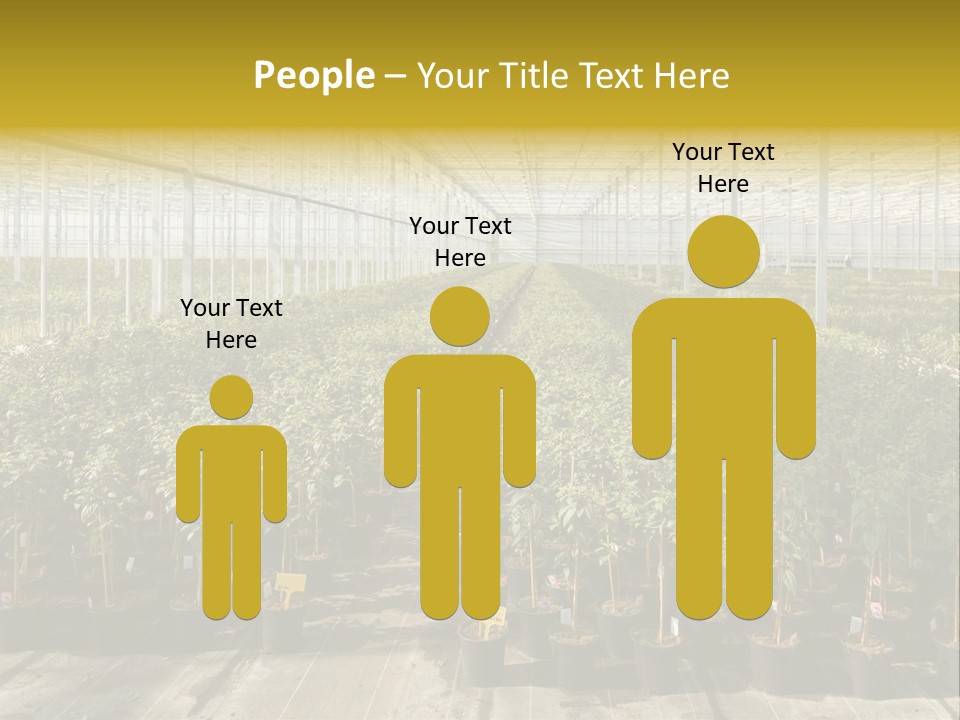 Pot Greenhouse Sepals PowerPoint Template