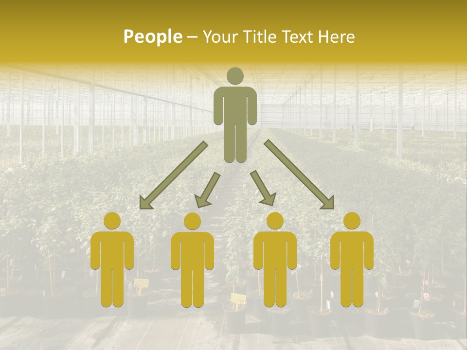 Pot Greenhouse Sepals PowerPoint Template