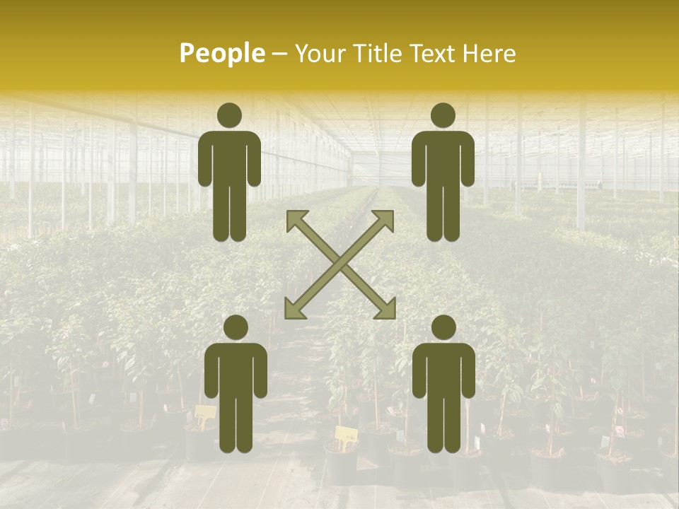 Pot Greenhouse Sepals PowerPoint Template