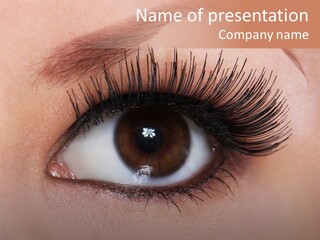 Fashion Eyebrows Sight PowerPoint Template