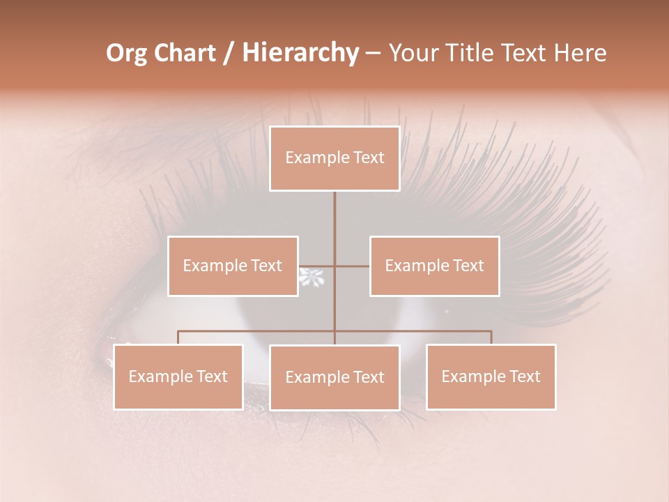Fashion Eyebrows Sight PowerPoint Template