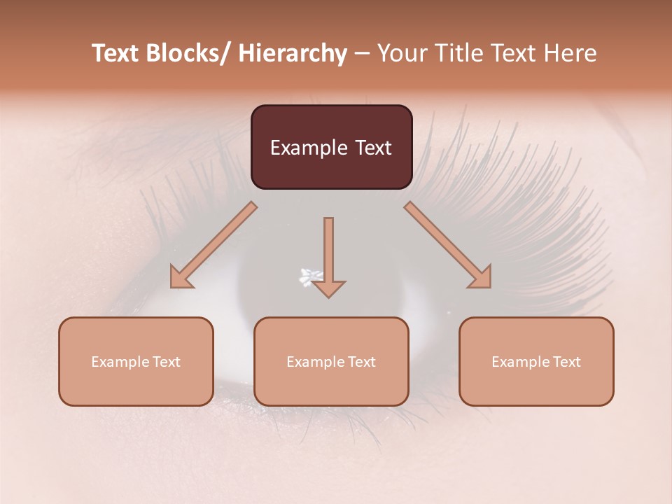 Fashion Eyebrows Sight PowerPoint Template