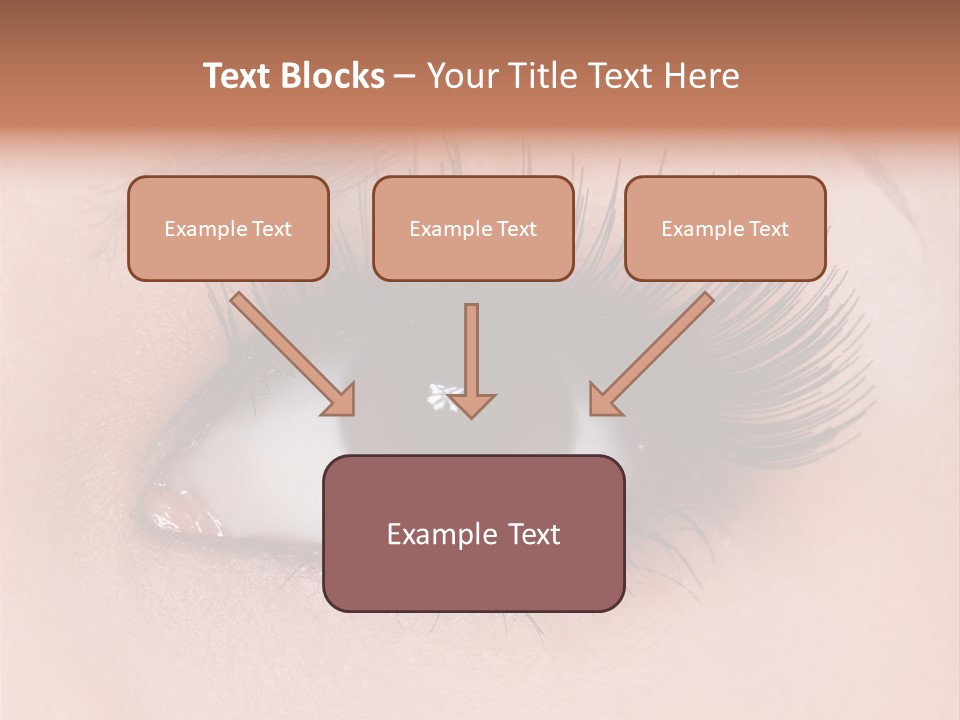 Fashion Eyebrows Sight PowerPoint Template