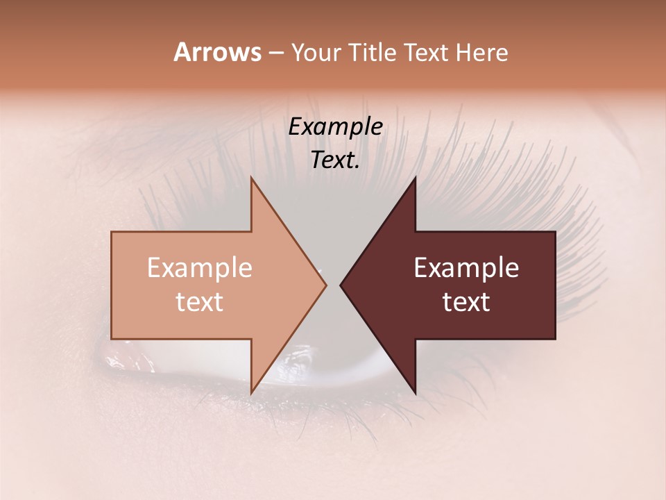 Fashion Eyebrows Sight PowerPoint Template
