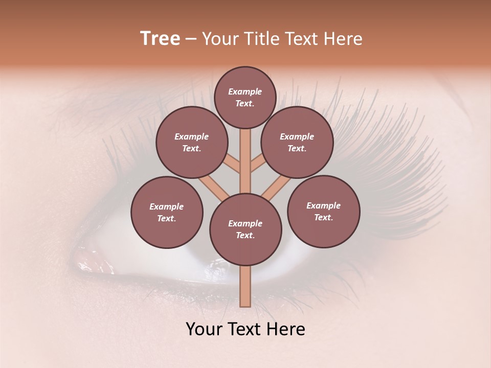 Fashion Eyebrows Sight PowerPoint Template