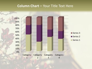 Show Historical View PowerPoint Template