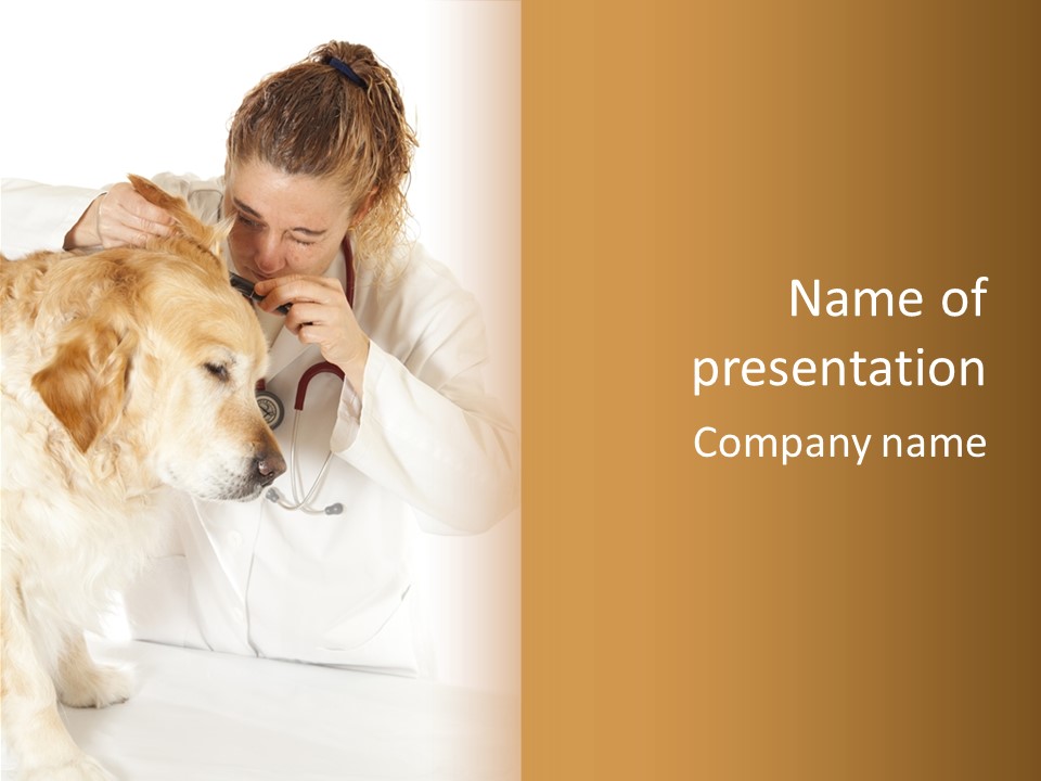 Medicine Vet Dog Lantern PowerPoint Template