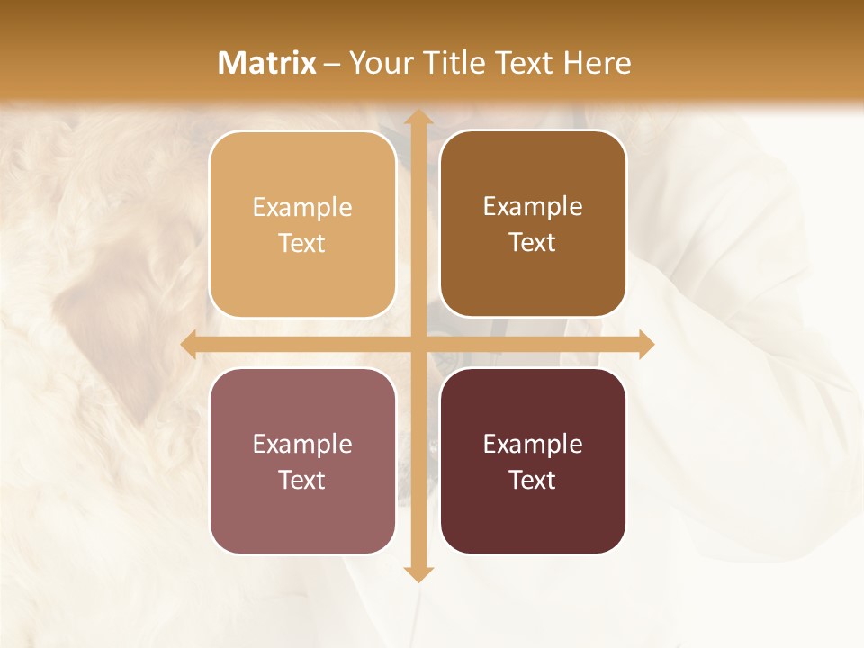 Medicine Vet Dog Lantern PowerPoint Template