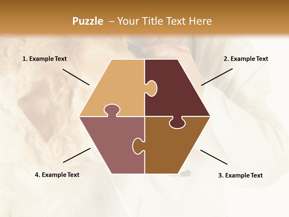 Medicine Vet Dog Lantern PowerPoint Template