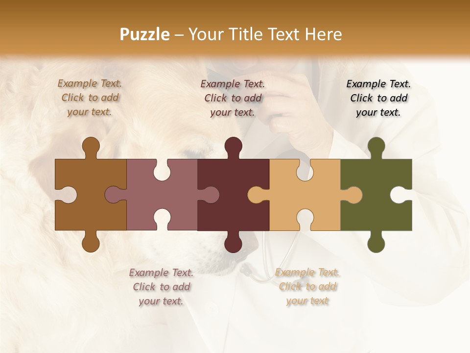 Medicine Vet Dog Lantern PowerPoint Template