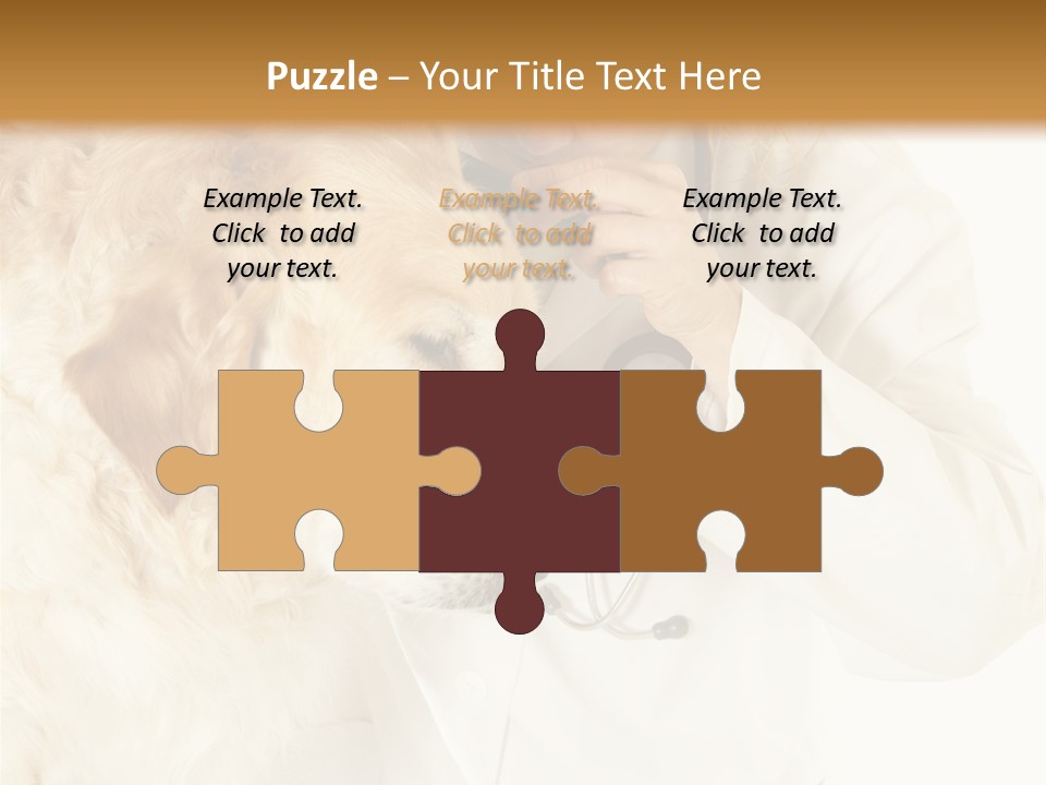 Medicine Vet Dog Lantern PowerPoint Template