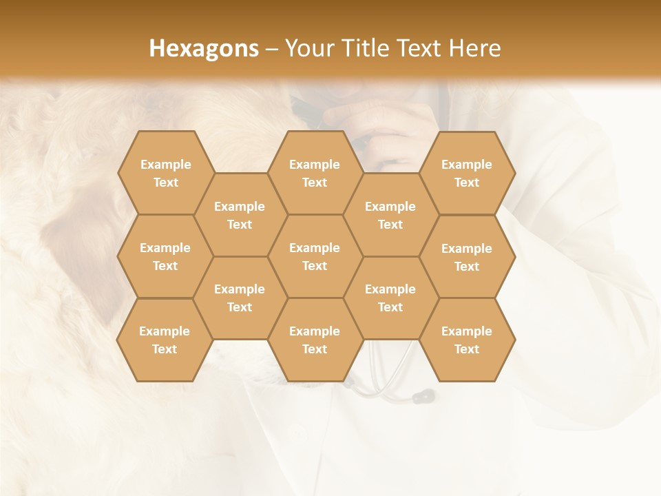 Medicine Vet Dog Lantern PowerPoint Template