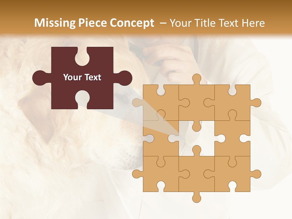 Medicine Vet Dog Lantern PowerPoint Template