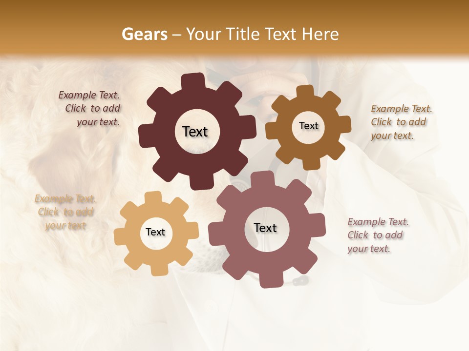 Medicine Vet Dog Lantern PowerPoint Template