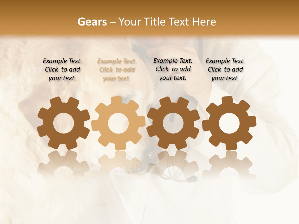 Medicine Vet Dog Lantern PowerPoint Template