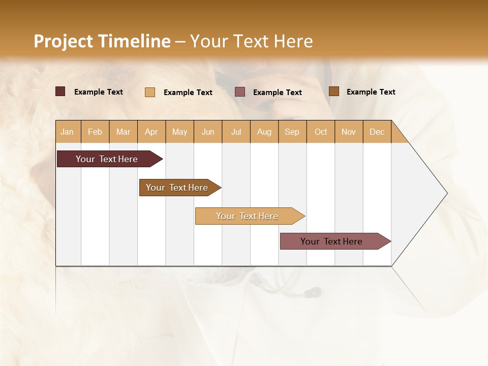 Medicine Vet Dog Lantern PowerPoint Template