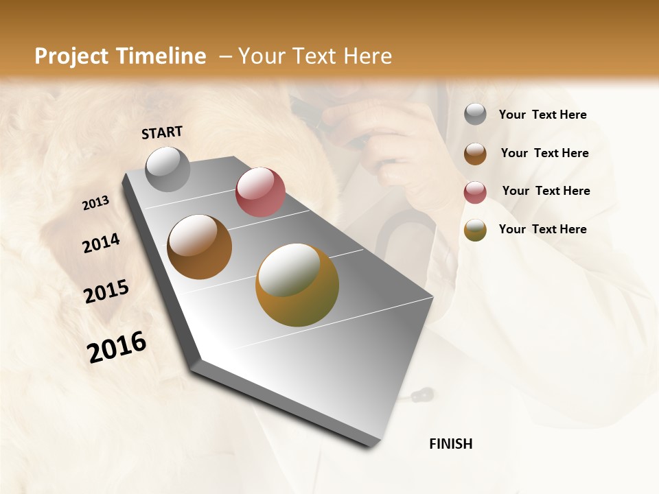 Medicine Vet Dog Lantern PowerPoint Template