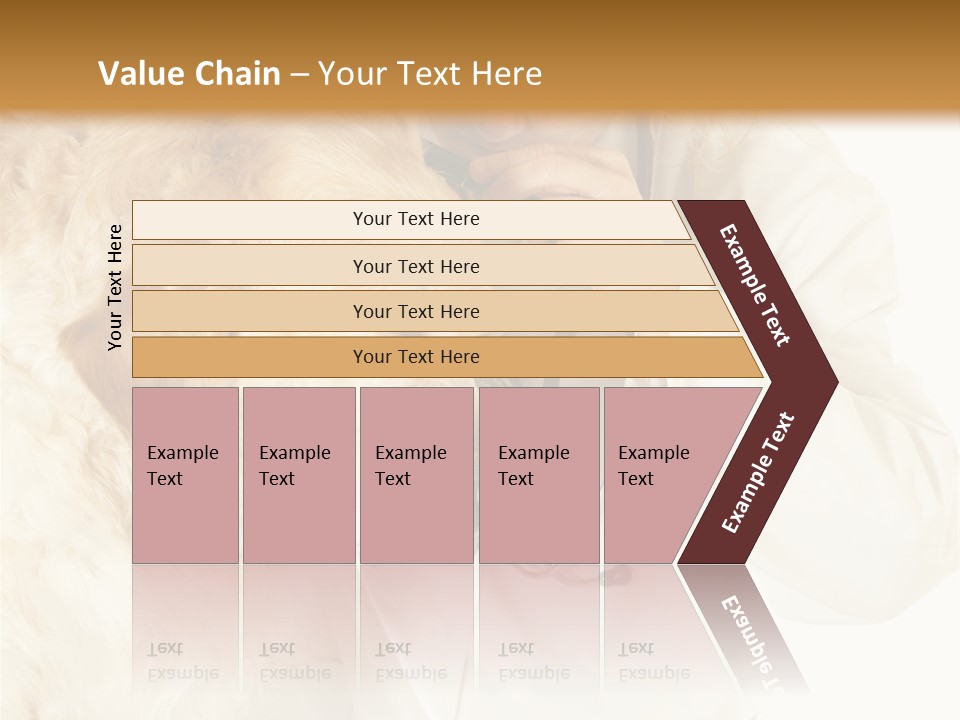 Medicine Vet Dog Lantern PowerPoint Template