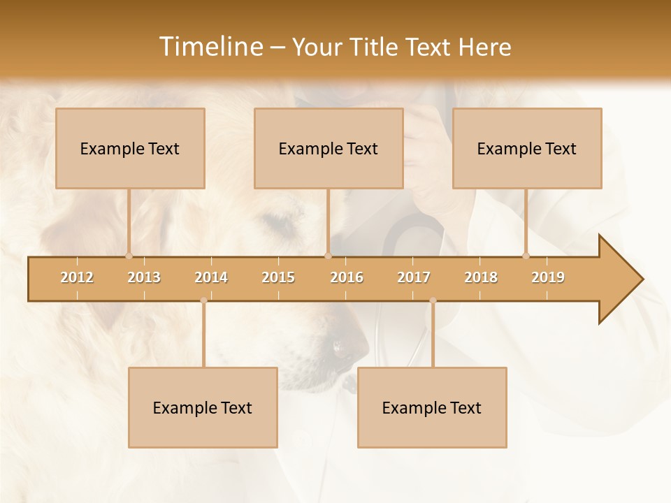 Medicine Vet Dog Lantern PowerPoint Template