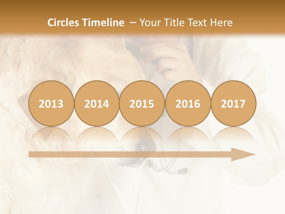 Medicine Vet Dog Lantern PowerPoint Template