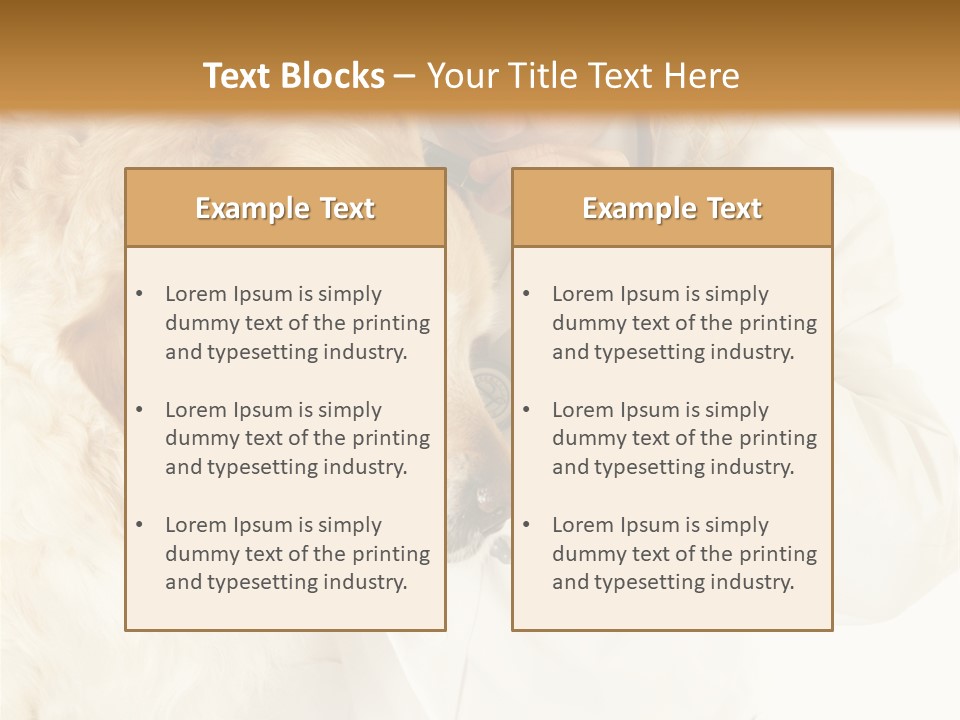Medicine Vet Dog Lantern PowerPoint Template