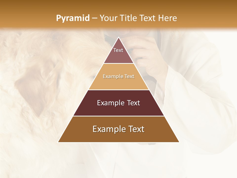 Medicine Vet Dog Lantern PowerPoint Template