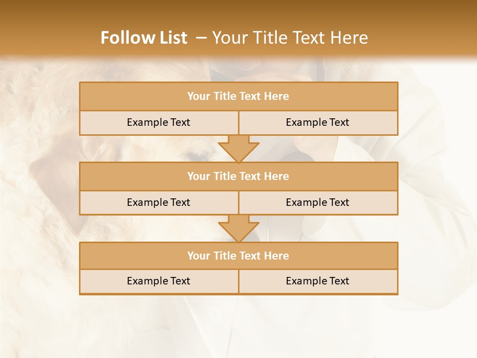 Medicine Vet Dog Lantern PowerPoint Template