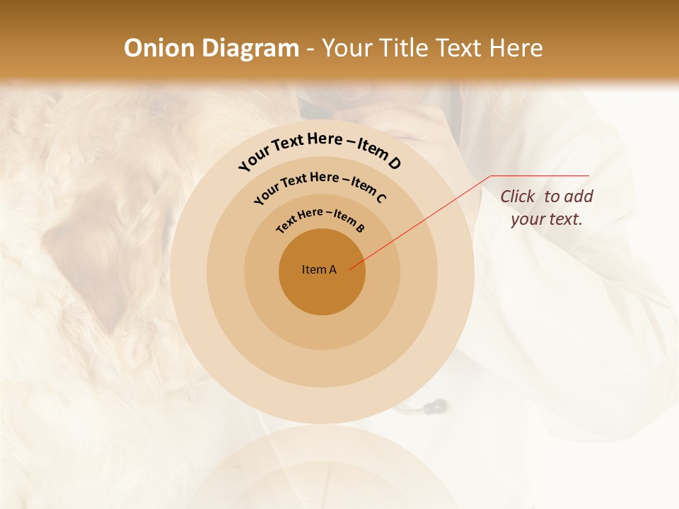 Medicine Vet Dog Lantern PowerPoint Template