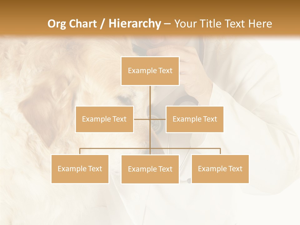Medicine Vet Dog Lantern PowerPoint Template