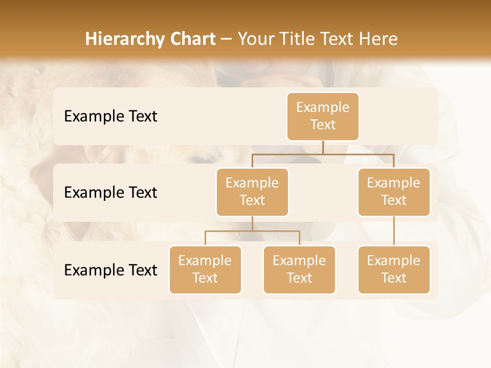 Medicine Vet Dog Lantern PowerPoint Template