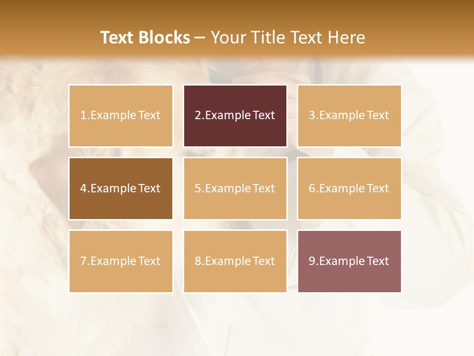 Medicine Vet Dog Lantern PowerPoint Template