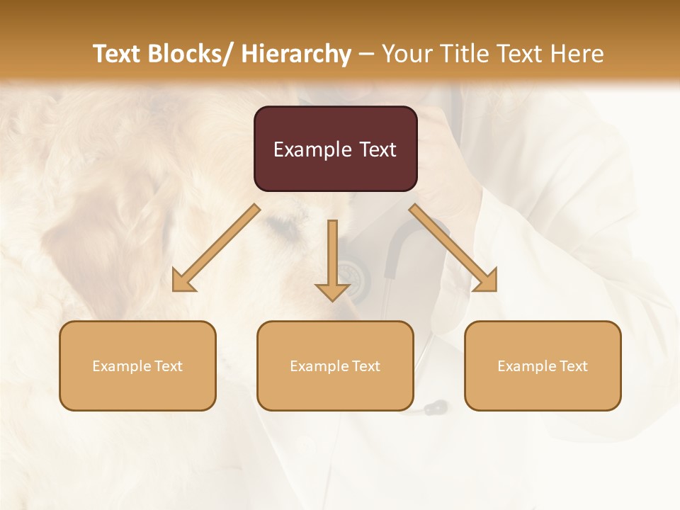 Medicine Vet Dog Lantern PowerPoint Template
